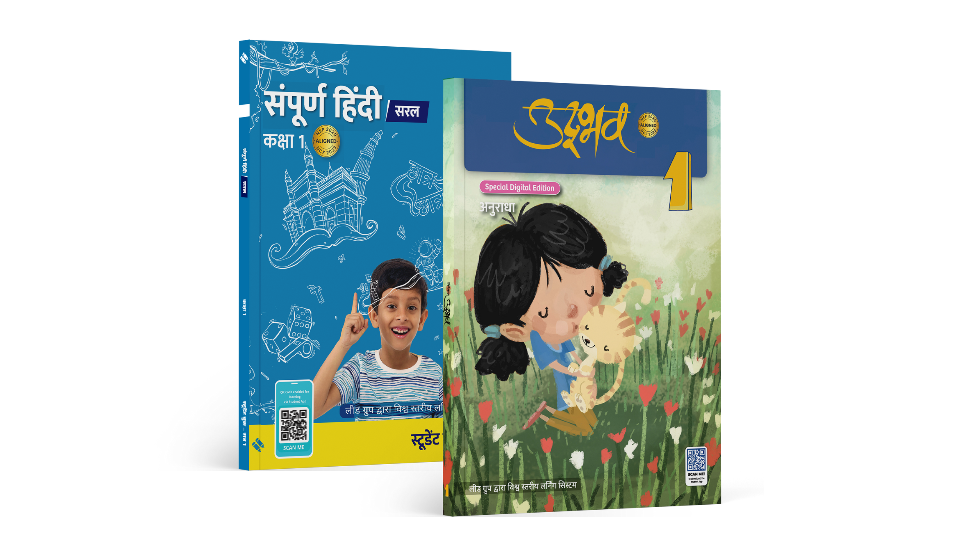 Choice of Hindi curriculum based on the school’s needs: from elementary level to native language level